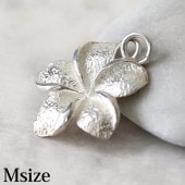 �ץ��ꥢ�Υ���С����㡼��(M) ���ݥ��󢡡ԥ᡼�����б��ġ�