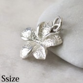 �ץ��ꥢ�Υ���С����㡼��(S) ���ݥ��󢡡ԥ᡼�����б��ġ�