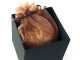 BOX SET ����8cm��(Batik brown)���������󥸡��դ���ñ�ʤǤι����Բġ�������ܡ���Ȱ���ɬ�׿��ΤߤǤ�������������