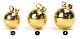 ܡ PLAIN GOLD()(M) ԥ᡼бġ