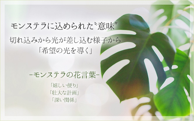 �����������(��󥹥ƥ�) �����˥����դ��ԥ᡼�����б��ġ�