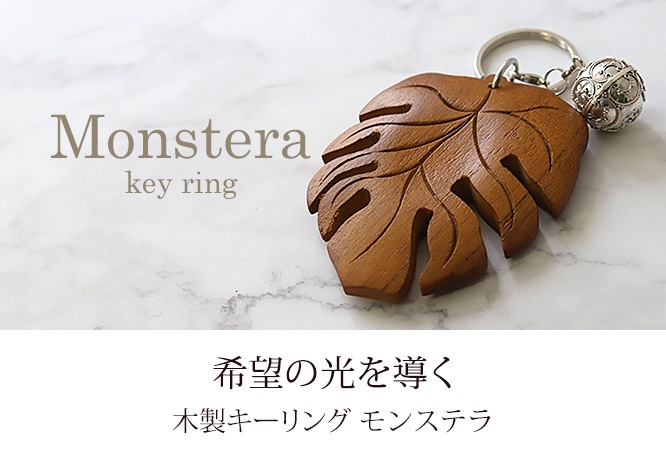 �����������(��󥹥ƥ�) �����˥����դ��ԥ᡼�����б��ġ�