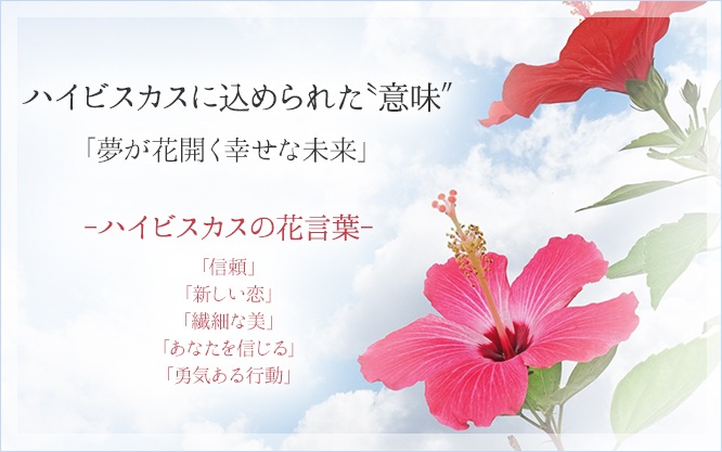 �����������(�ϥ��ӥ�����) �����˥����դ��ԥ᡼�����б��ġ�