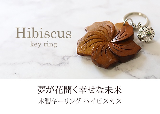 �����������(�ϥ��ӥ�����) �����˥����դ��ԥ᡼�����б��ġ�