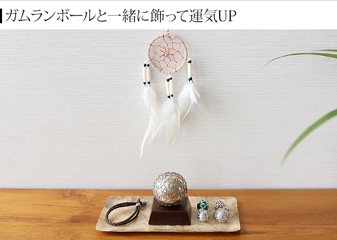 ɥ꡼७å㡼(6cm)ԥ᡼бġ