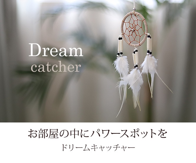 ɥ꡼७å㡼(6cm)ԥ᡼бġ