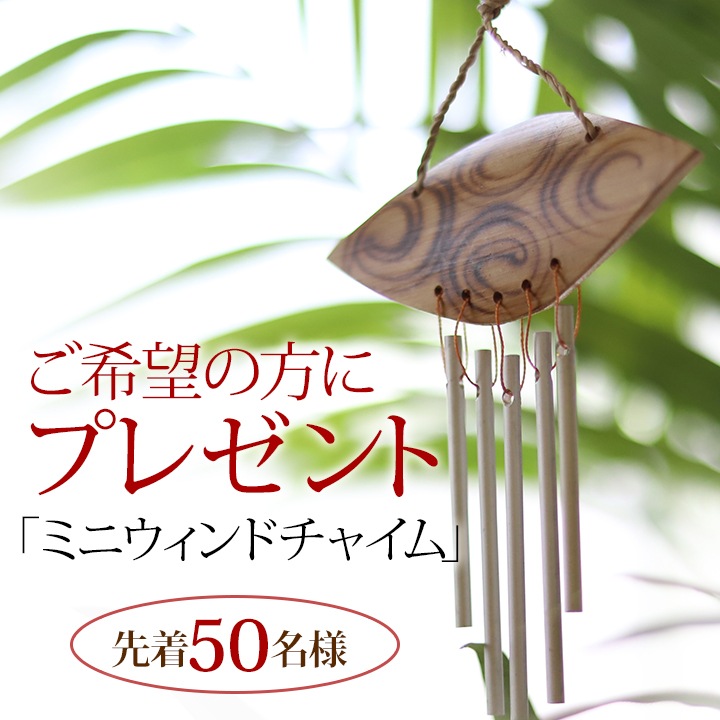 �ߥ˥�����ɥ��㥤��(��������)�ץ쥼��ȡ�̵���ա���ɬ�����4,900��(�ǹ�)�ʾ�ξ��ʤ���ˤ���ʸ������