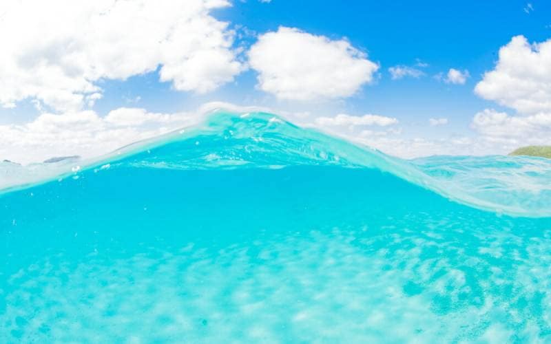 絵画風 壁紙ポスター（はがせるシール式） 『キャラクロ』 の