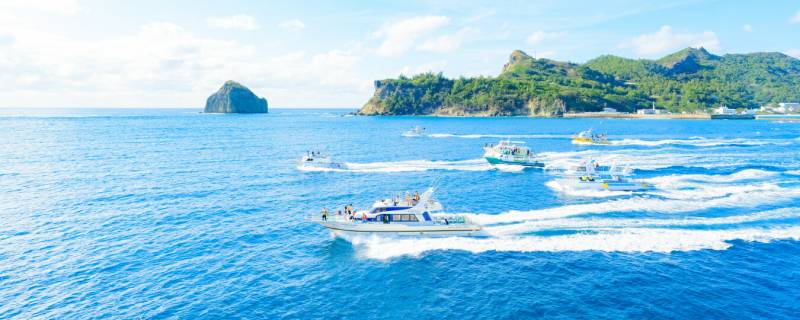 絵画風 壁紙ポスター（はがせるシール式） 『キャラクロ』 の