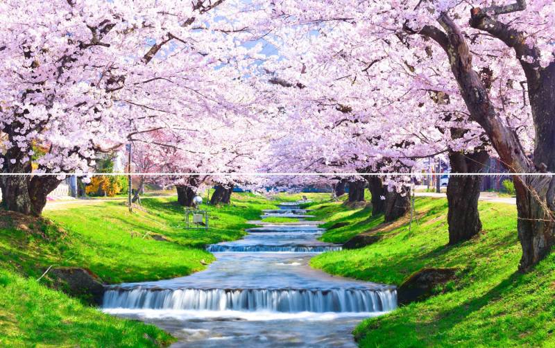 絵画風 壁紙ポスター（はがせるシール式） 『キャラクロ』 の