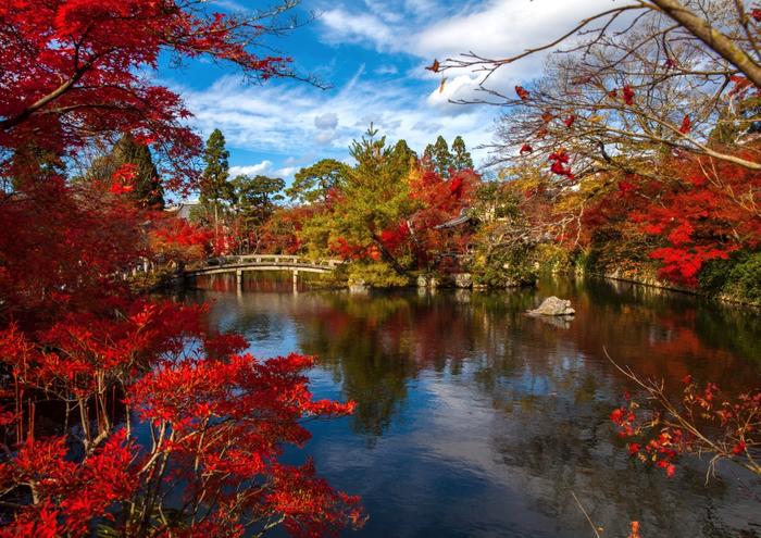 アートポスター：９９もみじの林にある流れ Amazon.co.jp: 自然風景 秋 紅葉 ポスター 壁掛け絵画 現代 装飾