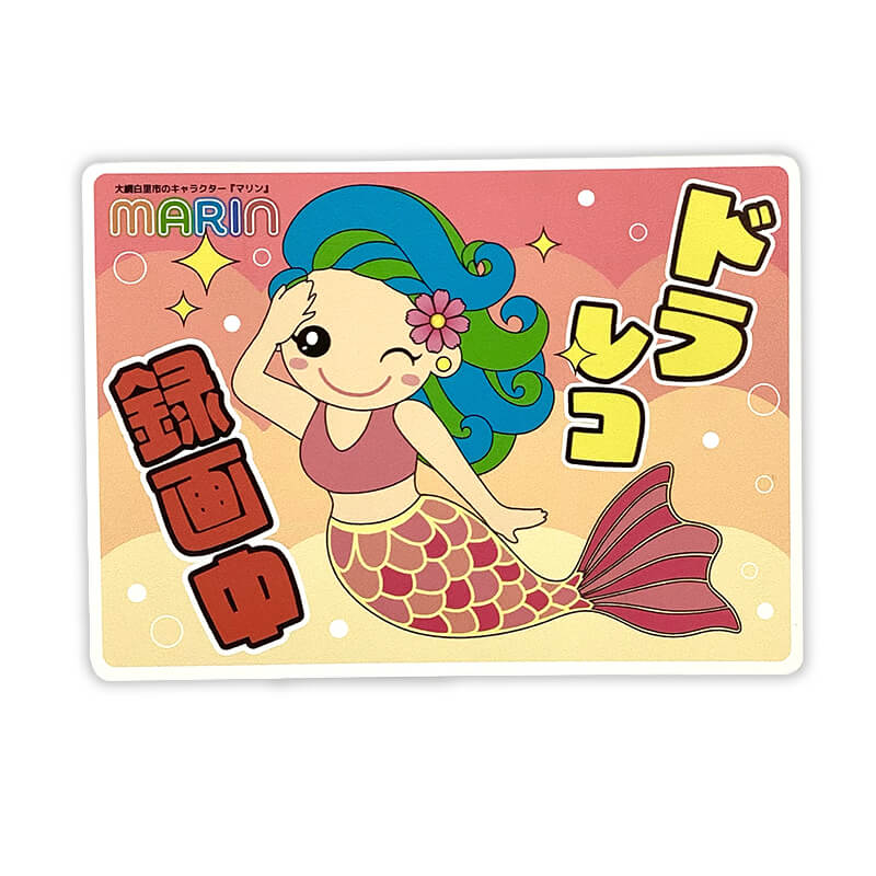 マリンカーマグネット(ドライブレコーダー)