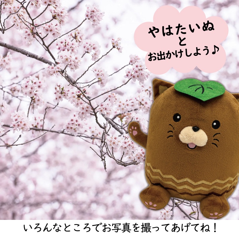 やはたいぬぬいぐるみ