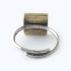 PALM TREE RING SMALL  BRASS��#9��#11��