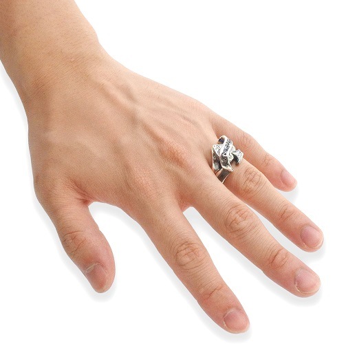 R786 GLAY HISASHIѥǥ