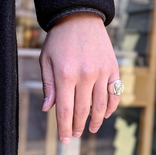 PHARAOHS HORSES RING OVAL LARGE/SILVER��K10��