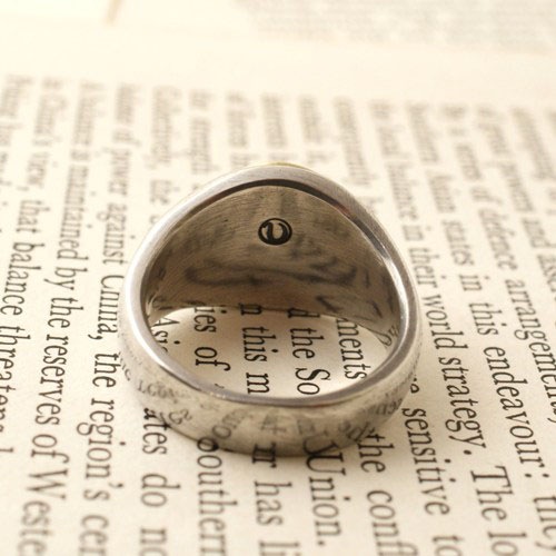 �ǲ�ֶ򤫼Ԥο�ʬ�װ���䤵�����ѡ�HAND RING 