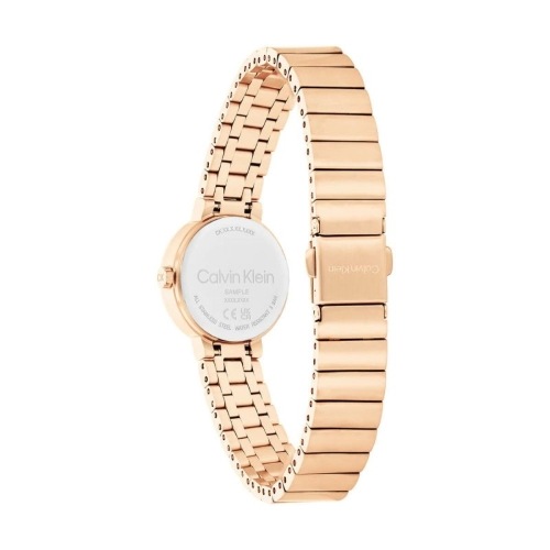 Calvin Klein PRECISE 25СRGLadys Watch.