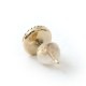 NAVAJO STONE PIERCE GOLD