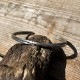 TATAKI CROSS BRACELET SV