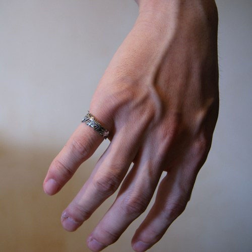 GARDEN OF EDEN Feather Ring S