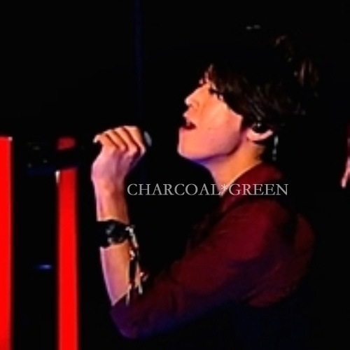 Carved Leather Feather Bangle