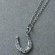 Horseshoe Luck Necklace SV