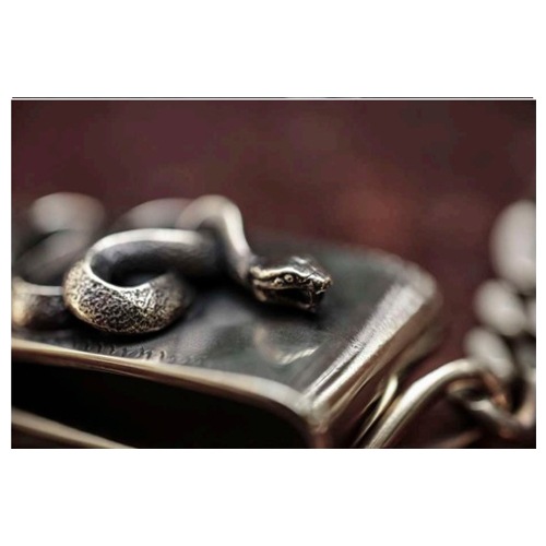 SNAKE CLIP TYPE WALLETCHAIN