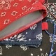 19ǯBANDANA DENIM CLUTCH BAG