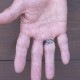 OWL FEATHER RING