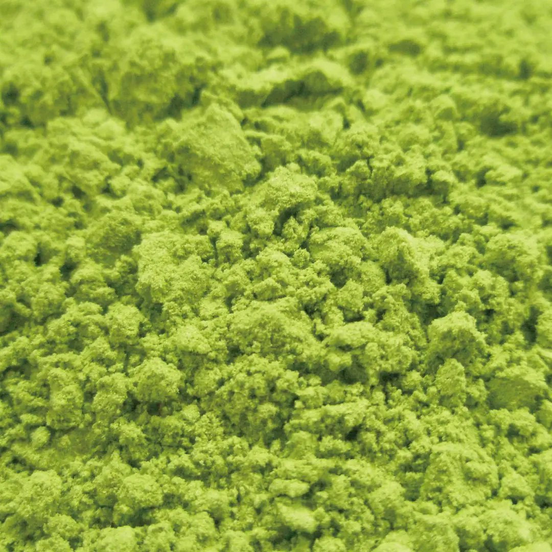 アシタバ/明日葉 パウダー オーガニック 100g