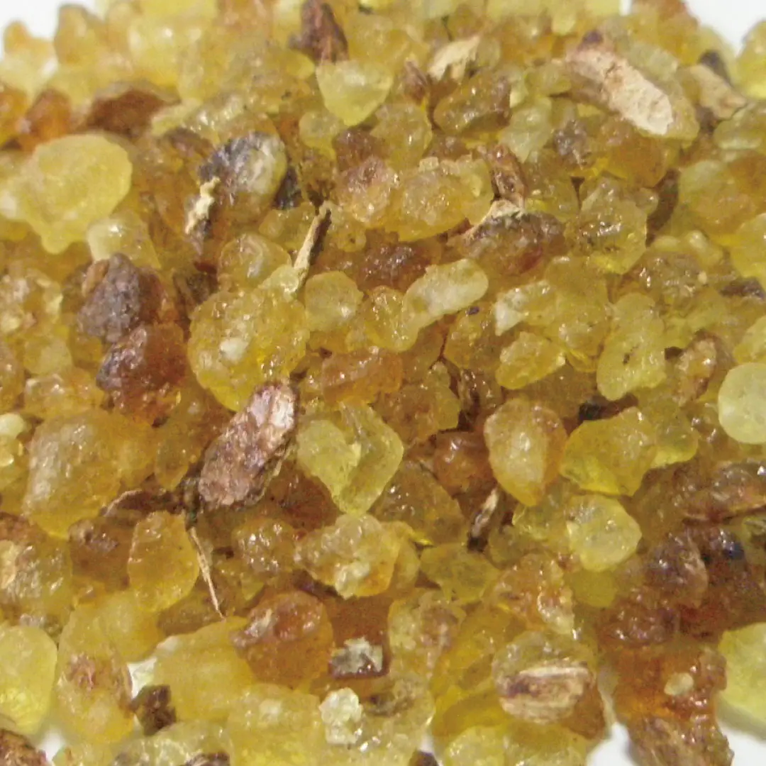 オリバナーム/フランキンセンス/乳香 20g