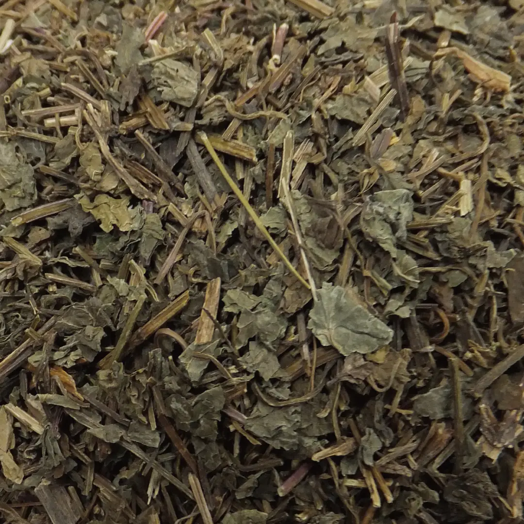 カキドオシ/垣通し/レンセンソウ/蓮銭草 カット 100g