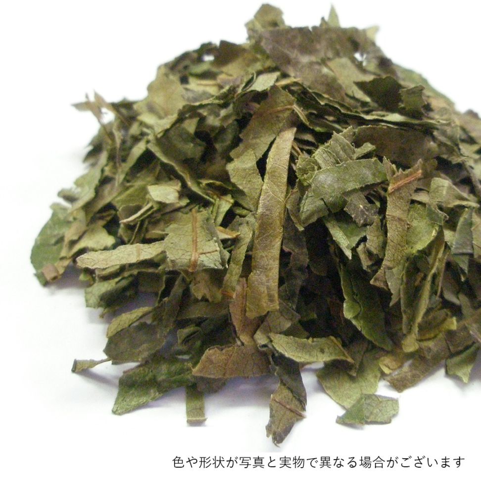 カキノハ/柿の葉 カット大 500g