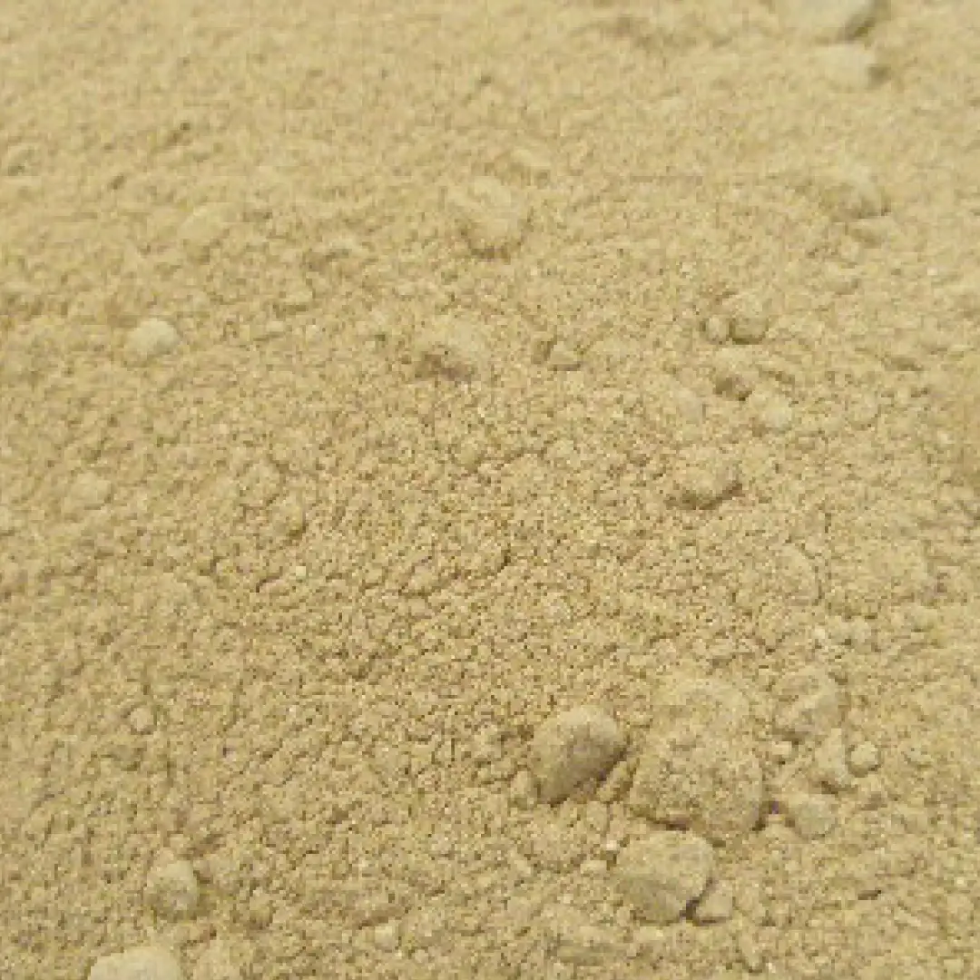 カムカム パウダー オーガニック 100g