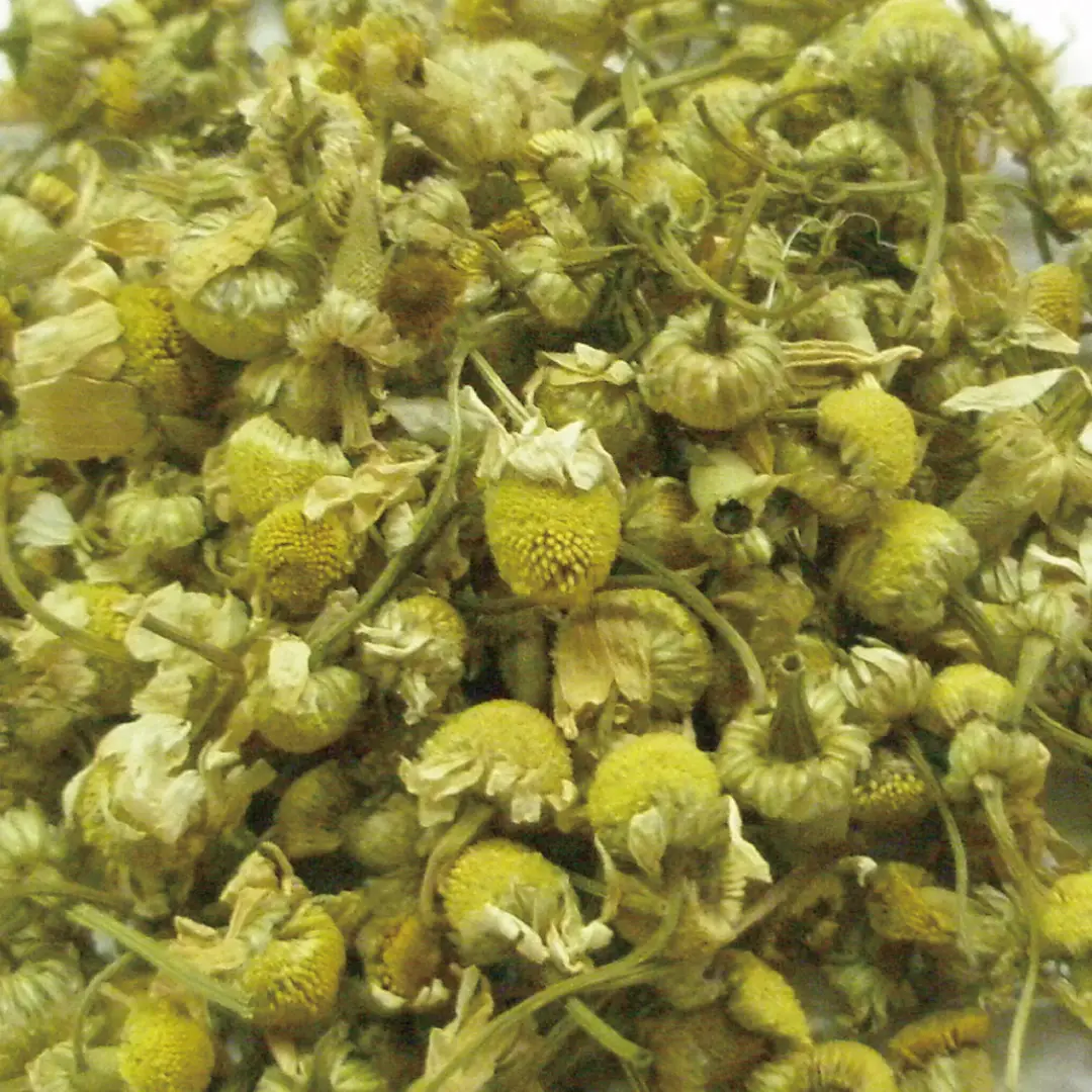 カモマイル ジャーマン ホール 100g