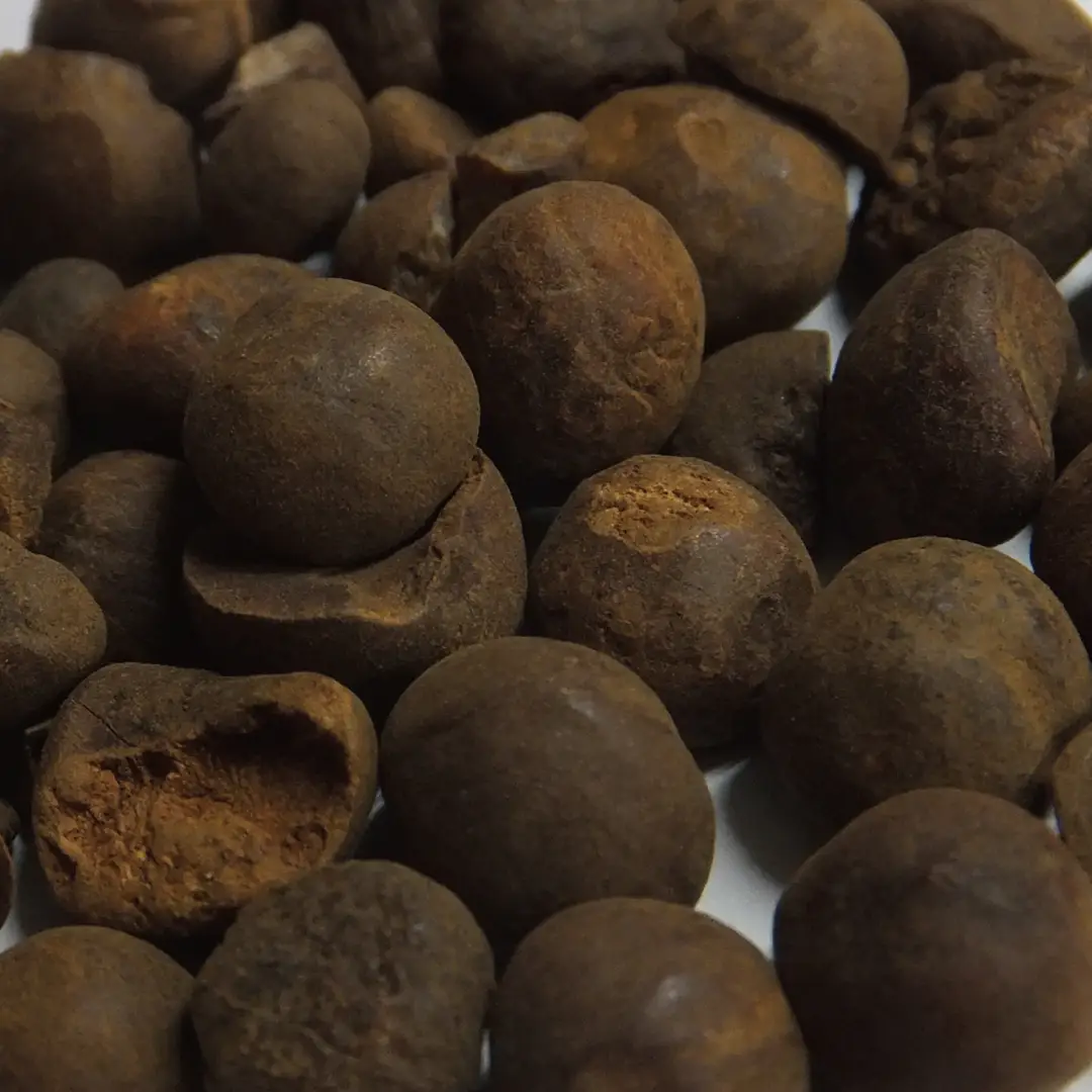 ガラナシード ホール KBA 20g