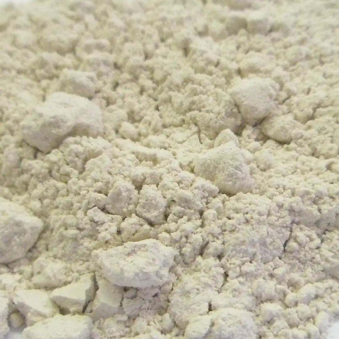 サイリウム/オオバコ パウダー 20g