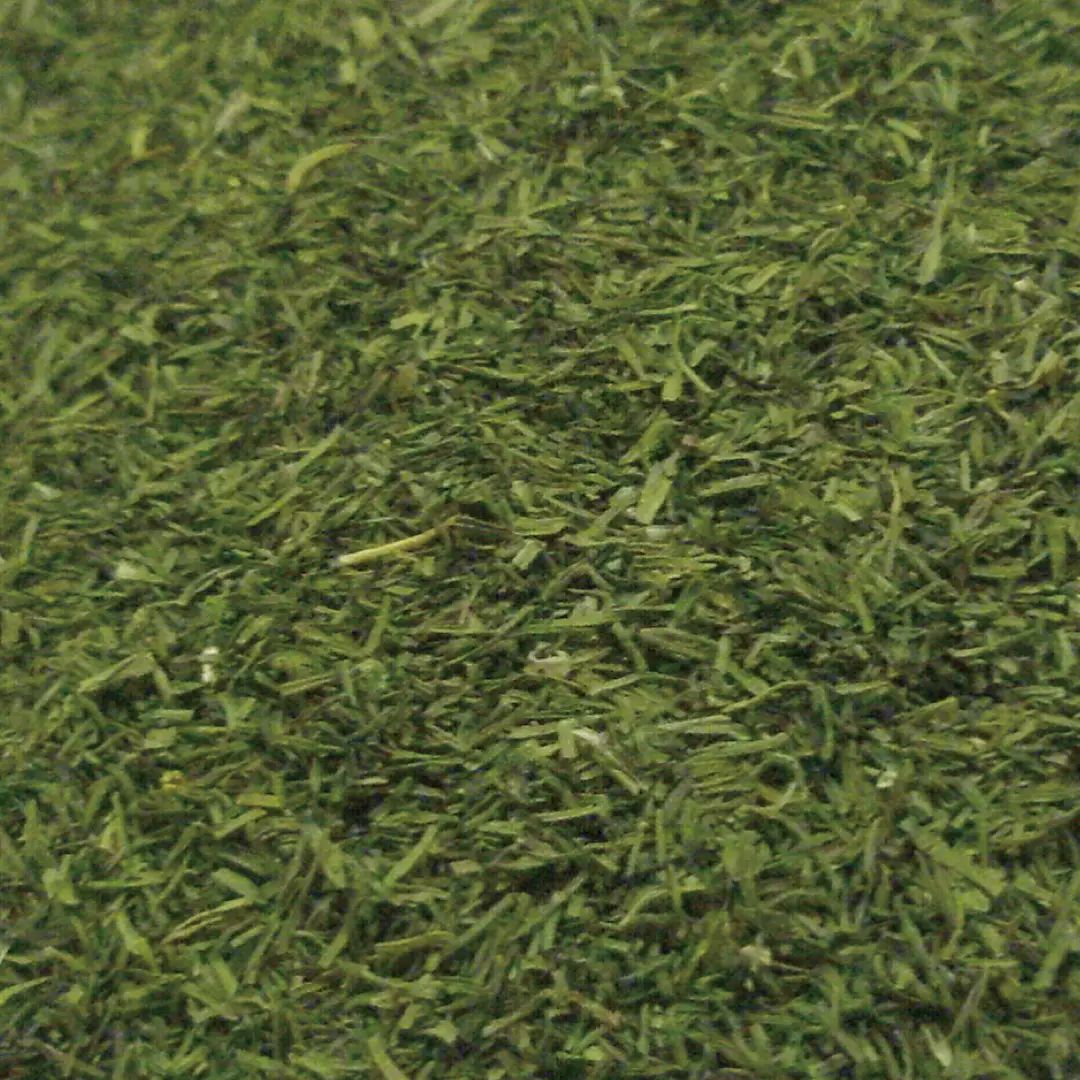 ディル ウィード カット オーガニック 20g
