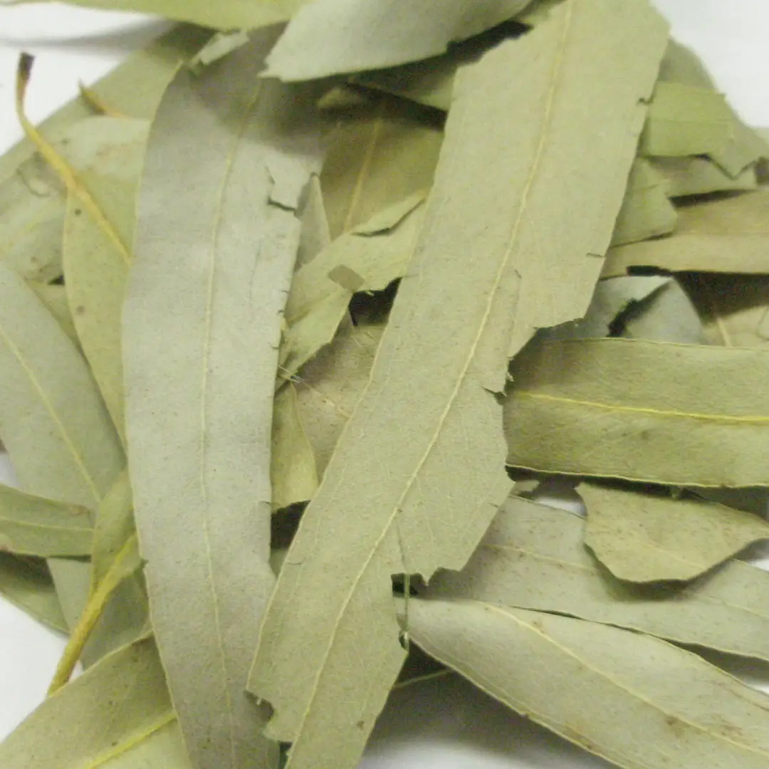 ユーカリ ホール 100g