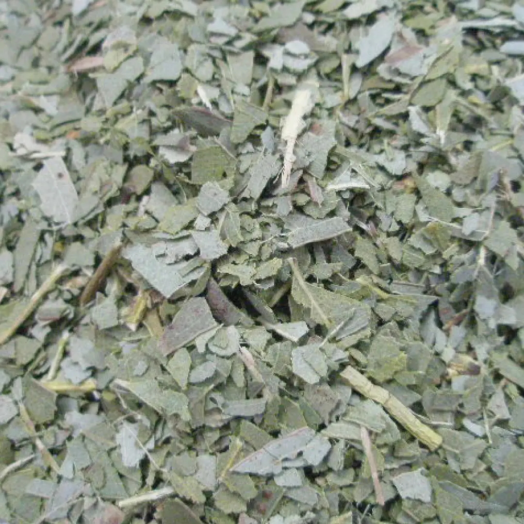 ユーカリ リーフ カット オーガニック 20g