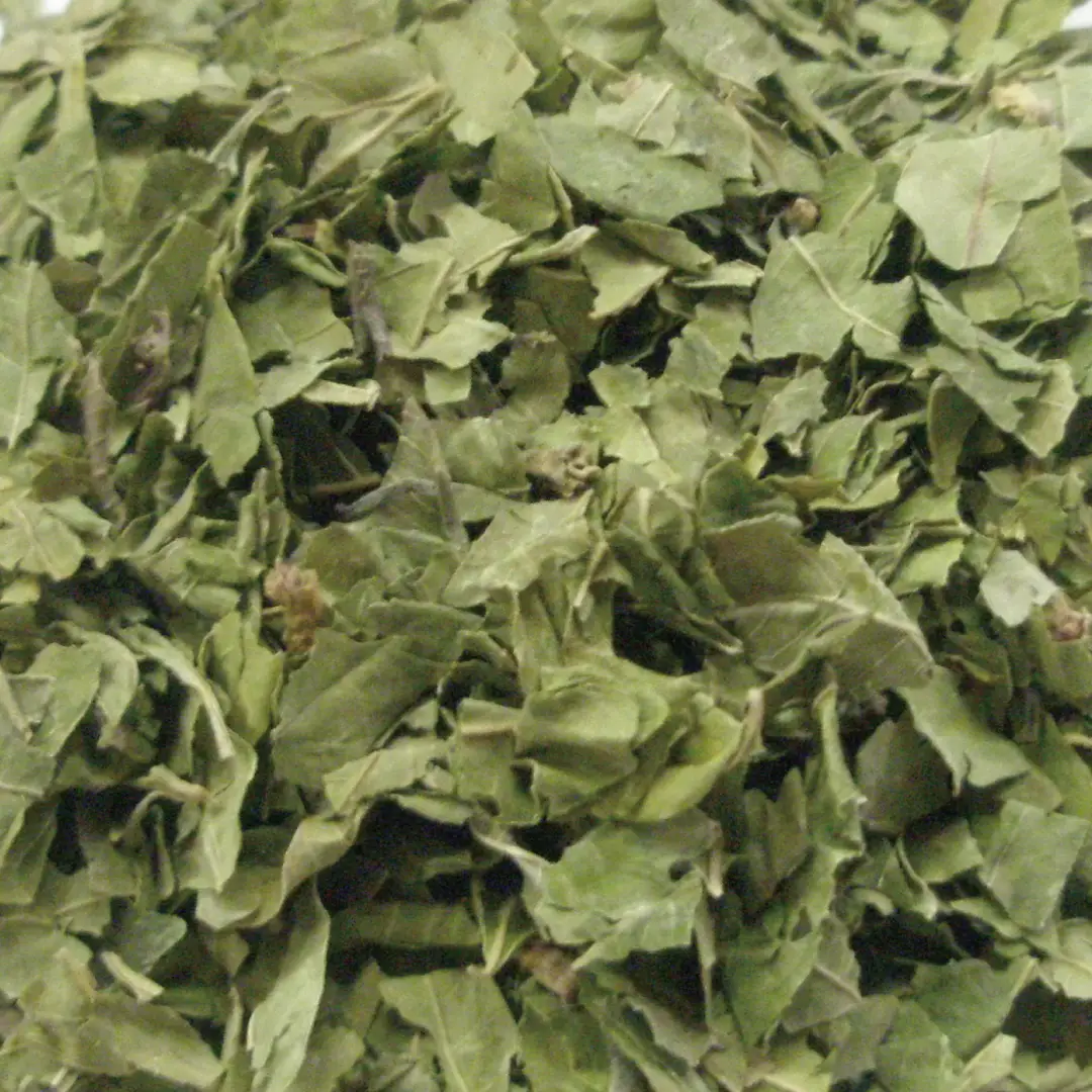 ラフマ/羅布麻 カット 100g