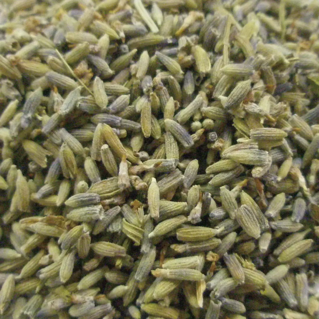 ラベンダー B級 ホール 500g