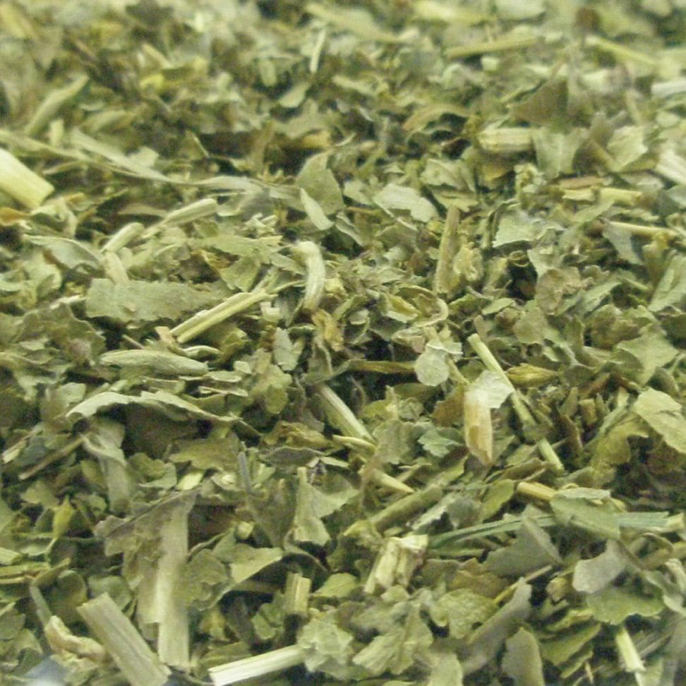 レディースマントル カット KBA 5kg