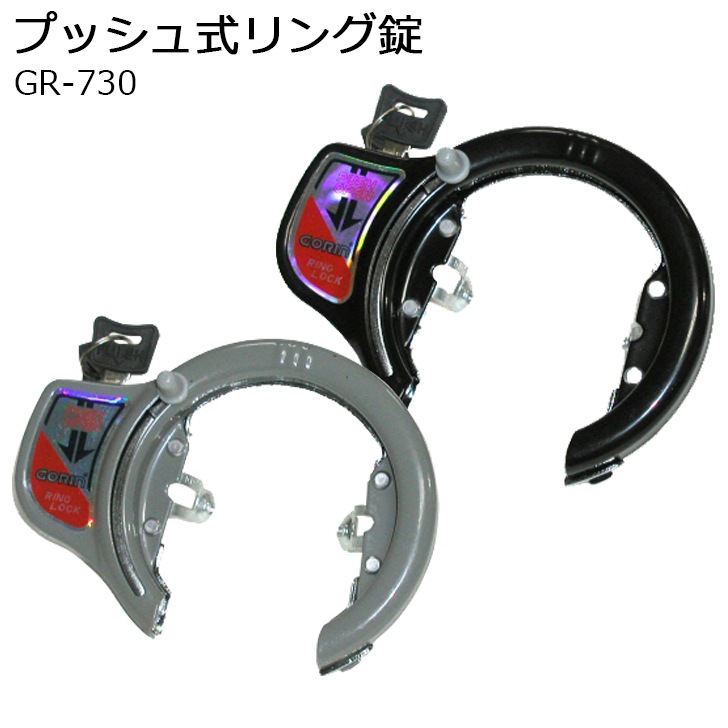 �ץå��弰��󥰾� GR-730