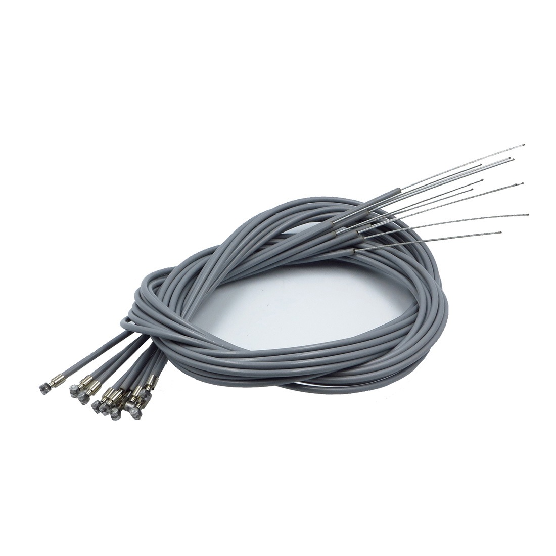 �֥졼���磻�䡼�ʥ饤�ʡ����ˡ��Х��10��