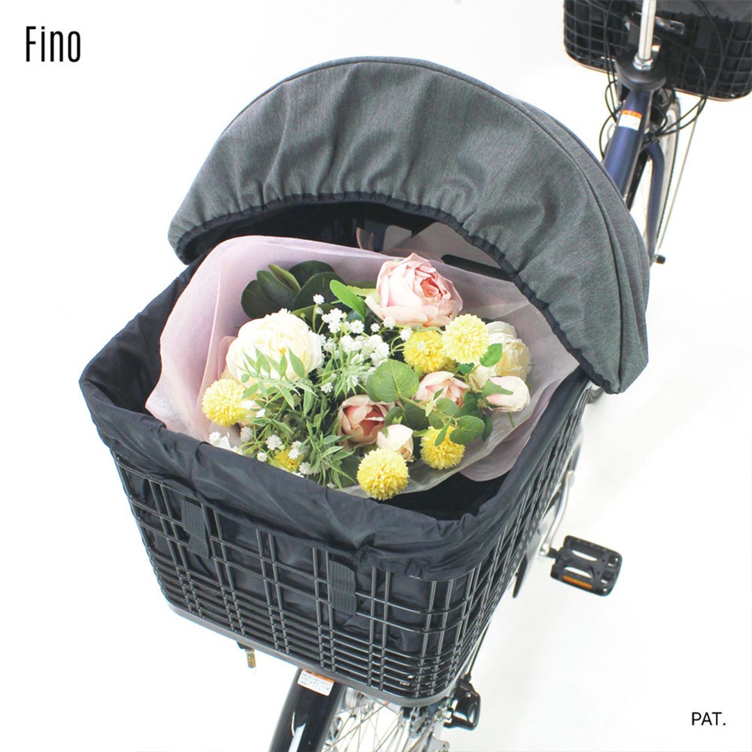 FINO �̎����Ŏ��ڎ��ʎގ������Ď��ʎގ����؎���