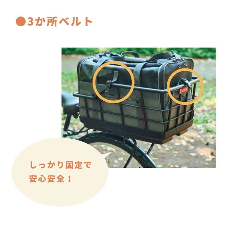 OGK �ɥ饤�֥ڥåȥ���꡼ M