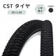 CST ������ 1�� ���� 20x1.95