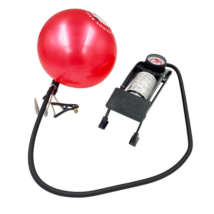 �եåȥݥ��Ȣ���� SH-FGT